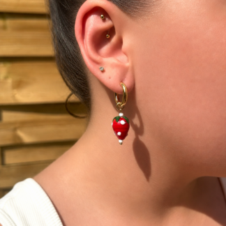 Boucles d'oreilles Fraisy