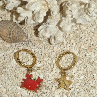 Boucles d'oreilles Craby